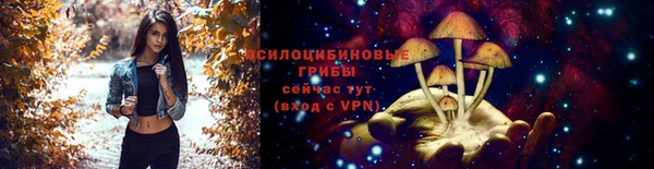 марки lsd Горнозаводск