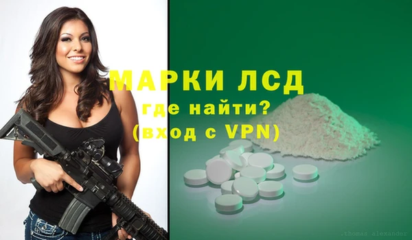 сатива Горняк