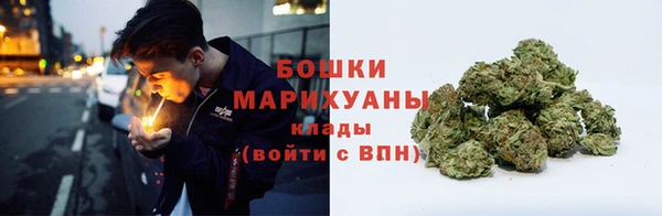 сатива Горняк