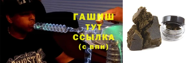 сатива Горняк