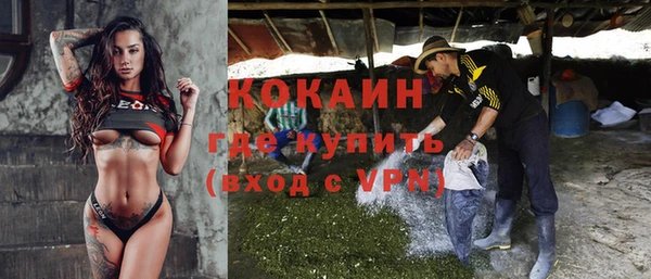 сатива Горняк