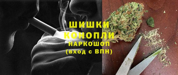 сатива Горняк