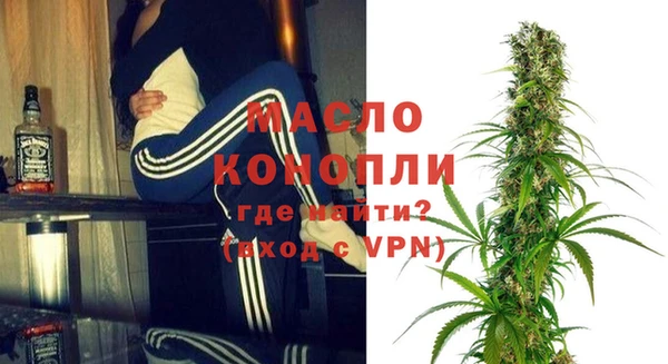 сатива Горняк