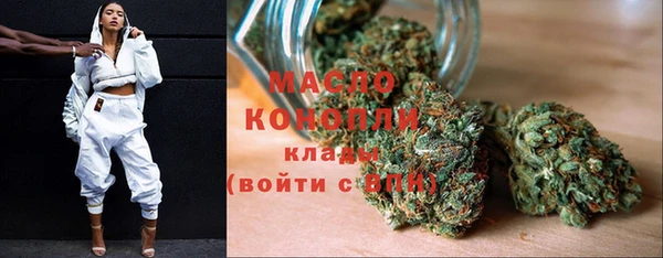 сатива Горняк