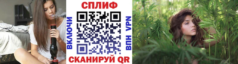 купить закладку  МЕГА как войти  Бошки марихуана Amnesia  Гремячинск 